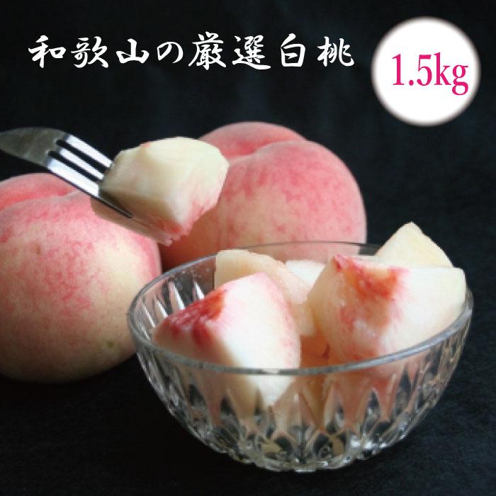 ［先行予約］和歌山の厳選白桃 約1.5kg［白鳳・清水白桃・川中島・もも・はくとう］［化粧箱入り］［IKE16］