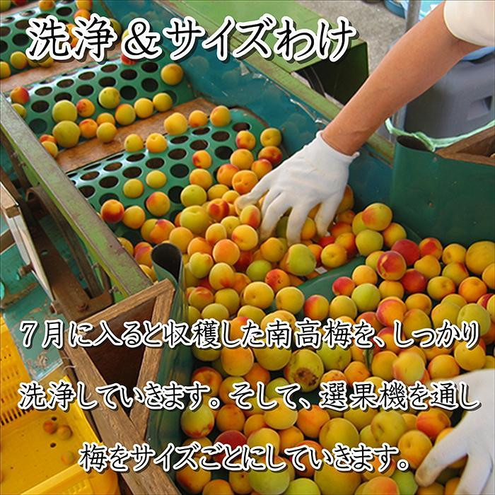 ããªã¿ã®éæ¢
å çŽå·å髿¢
ããæ¢
850g å¡©åçŽ15ïŒ
ãåæå±±ç£ãå°åçº