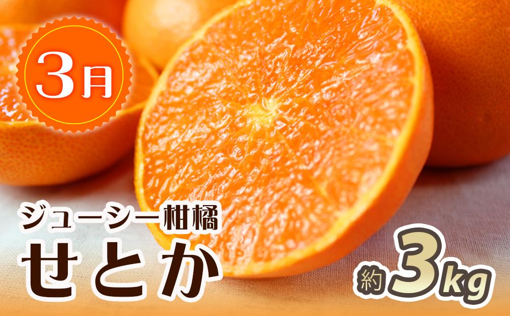 【3・7・11月 全3回】紀州和歌山産旬のフルーツセット（せとか・桃・富有柿） 定期便 【魚鶴商店】【UT72】