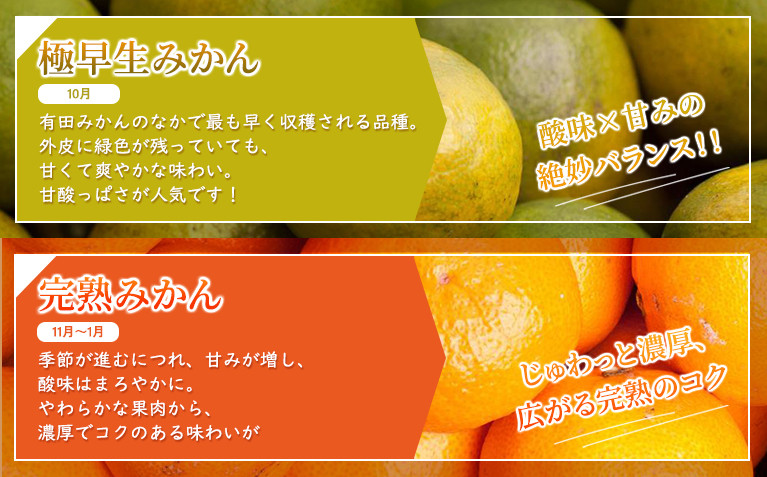 ［先行予約］家庭用 小さな有田みかん2.5kg+250g（傷み補償分）［2026年10月初旬から2027年1月末日頃順次発送予定］［IKE246］
