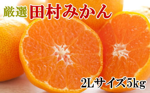 【ブランドみかん】田村みかん約5kg（2Lサイズ・秀品）★2025年11月中旬頃より順次発送【TM106】