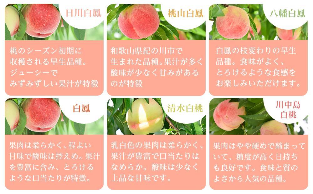 åæå±±çç£ æ¬ ã® æ¡ 5ïœ6çå
¥ã ç§åã2026幎6æäžæ¬ããé æ¬¡çºéãMG33