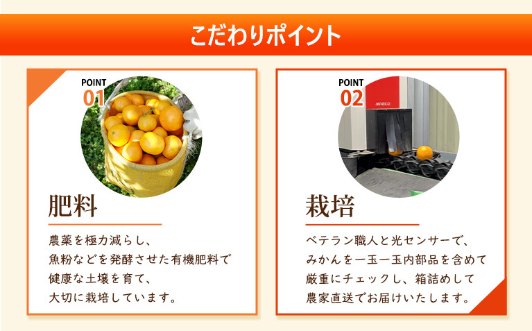 ［先行予約］家庭用 小さな有田みかん2.5kg+250g（傷み補償分）［2026年10月初旬から2027年1月末日頃順次発送予定］［IKE246］