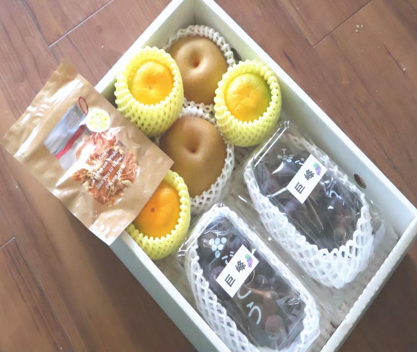 【旬のフルーツ詰め合わせ】フルーツ王国和歌山のフルーツセット