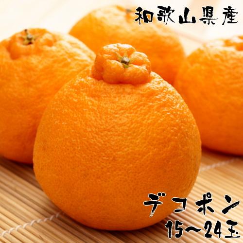 åæå±±æç°ã®æ¿åãã³ãã³ 15ïœ24ç çŽ5kgå
è¡äºçŽïŒœïŒ»MS78