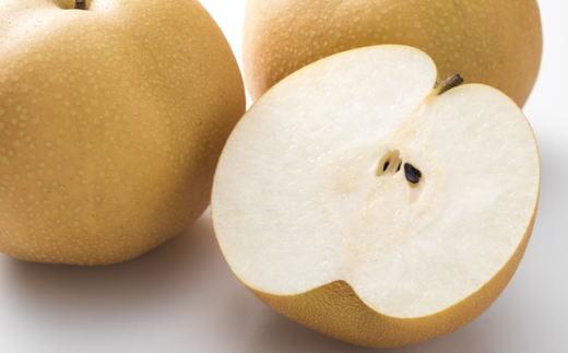 åæå±±çç£ã®æ¢šçŽ2kg(åçš®ããŸãã)â
2026幎8æäžæ¬é ããé æ¬¡çºéãTM181ã