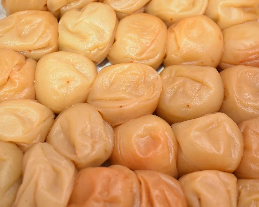 高級南高梅うす塩・邑咲(昆布旨味） 個包装計20粒入 紀州塗箱 網代模様仕上げ 【SW78】