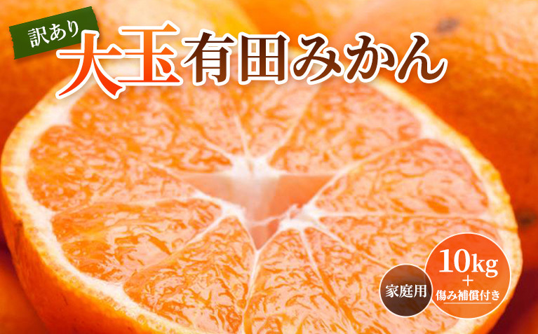 ［先行予約］家庭用 大きな有田みかん10kg+250g（傷み補償分）［2026年11月中旬から2027年1月末日頃、順次発送予定］［IKE243］