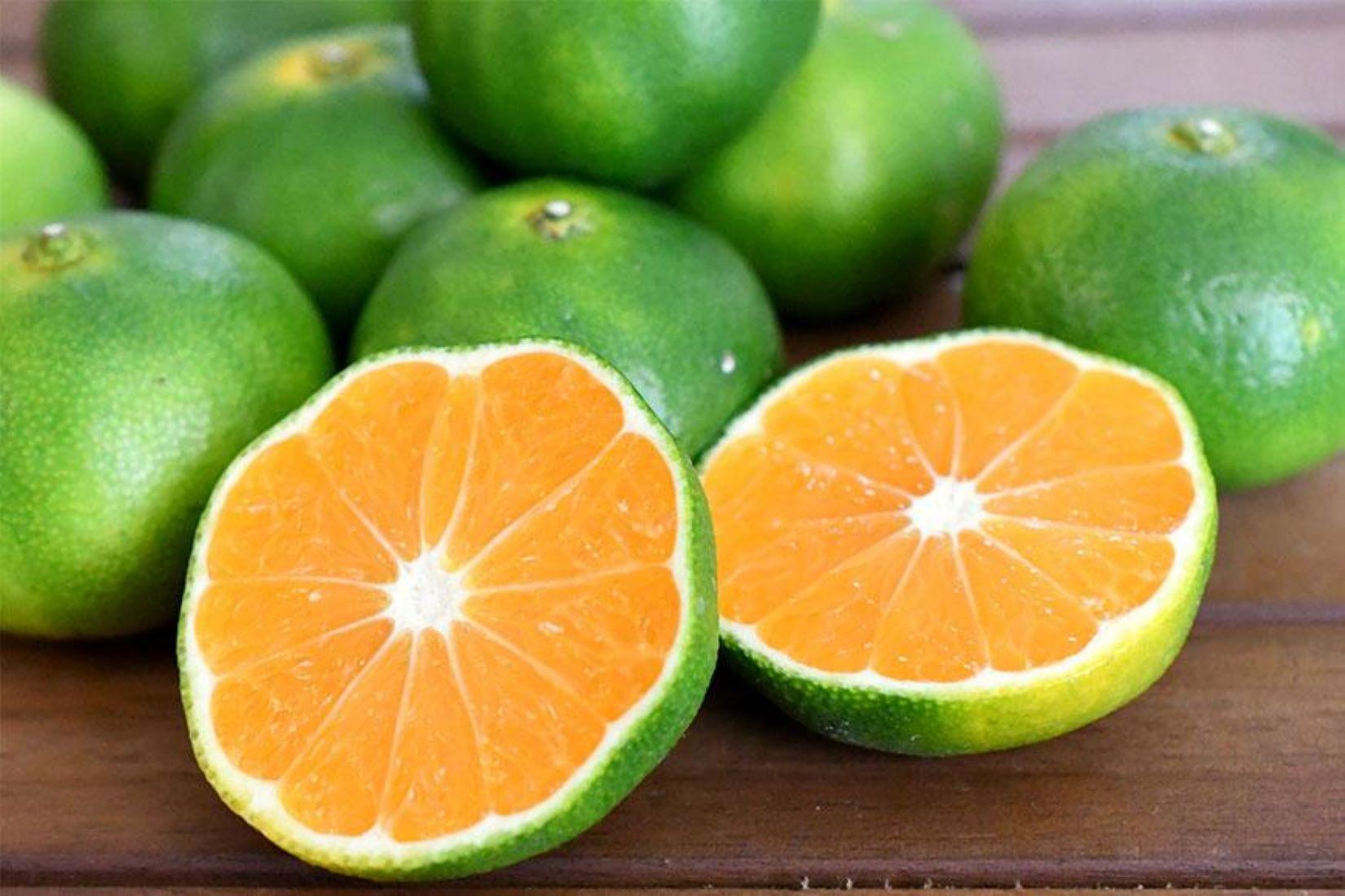 【先行予約】和歌山由良町産 由良早生みかん 約3kg サイズおまかせ(L～2S)いずれかお届け【SL1】