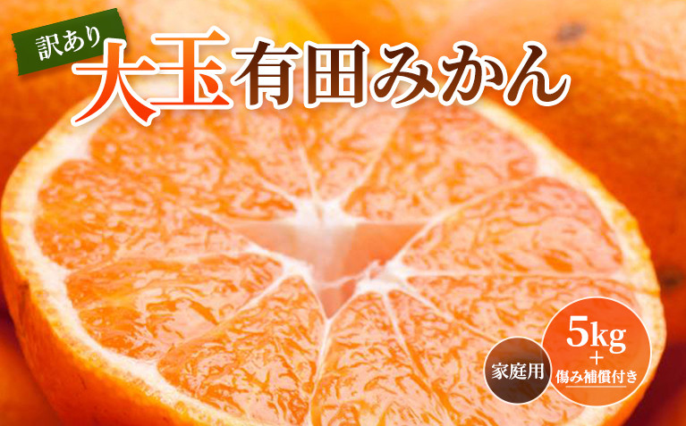 ［先行予約］家庭用 大きな有田みかん5kg+250g（傷み補償分）［2026年11月中旬から2027年1月末日頃、順次発送予定］［IKE244］