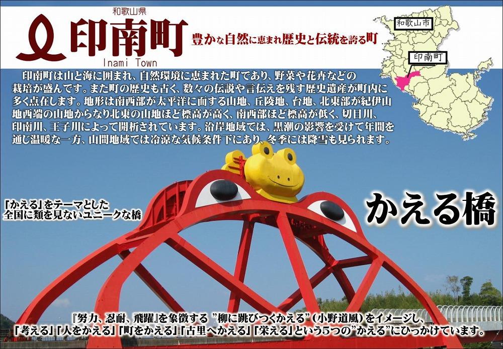 縲仙ョカ蠎ュ逕ィ縲醍エ蟾槫漉鬮俶「縲縺薙s縺カ譴縲1.2kg