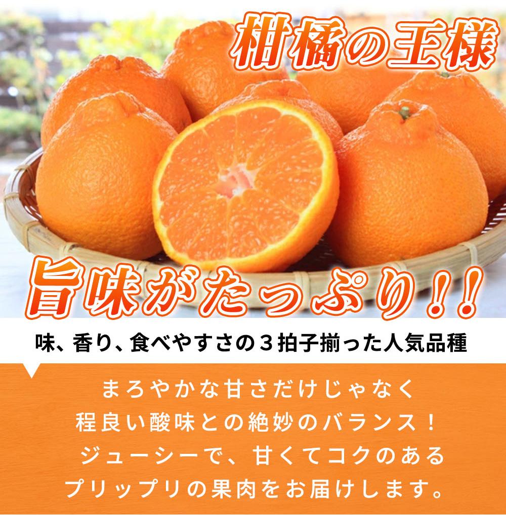 高級ブランド田村の完熟紀州デコ(不知火)［先行予約］［UT44］