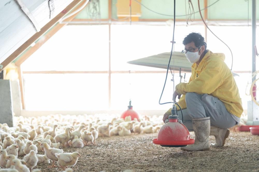 邏縺ョ蝗ス縺ソ縺九s縺ゥ繧翫繝ュ繝シ繧ケ繝医Ξ繝繧ー繧サ繝繝