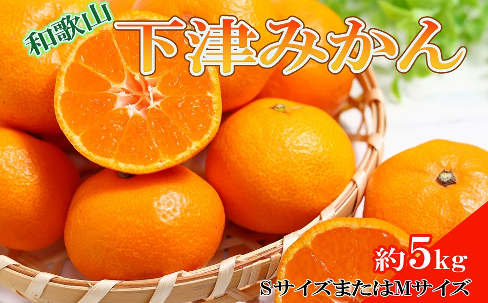 ［産直・秀品］和歌山下津みかん約5kg(SサイズまたはMサイズのいずれかをお届け) ★2026年11月中旬頃より順次発送［TM73］