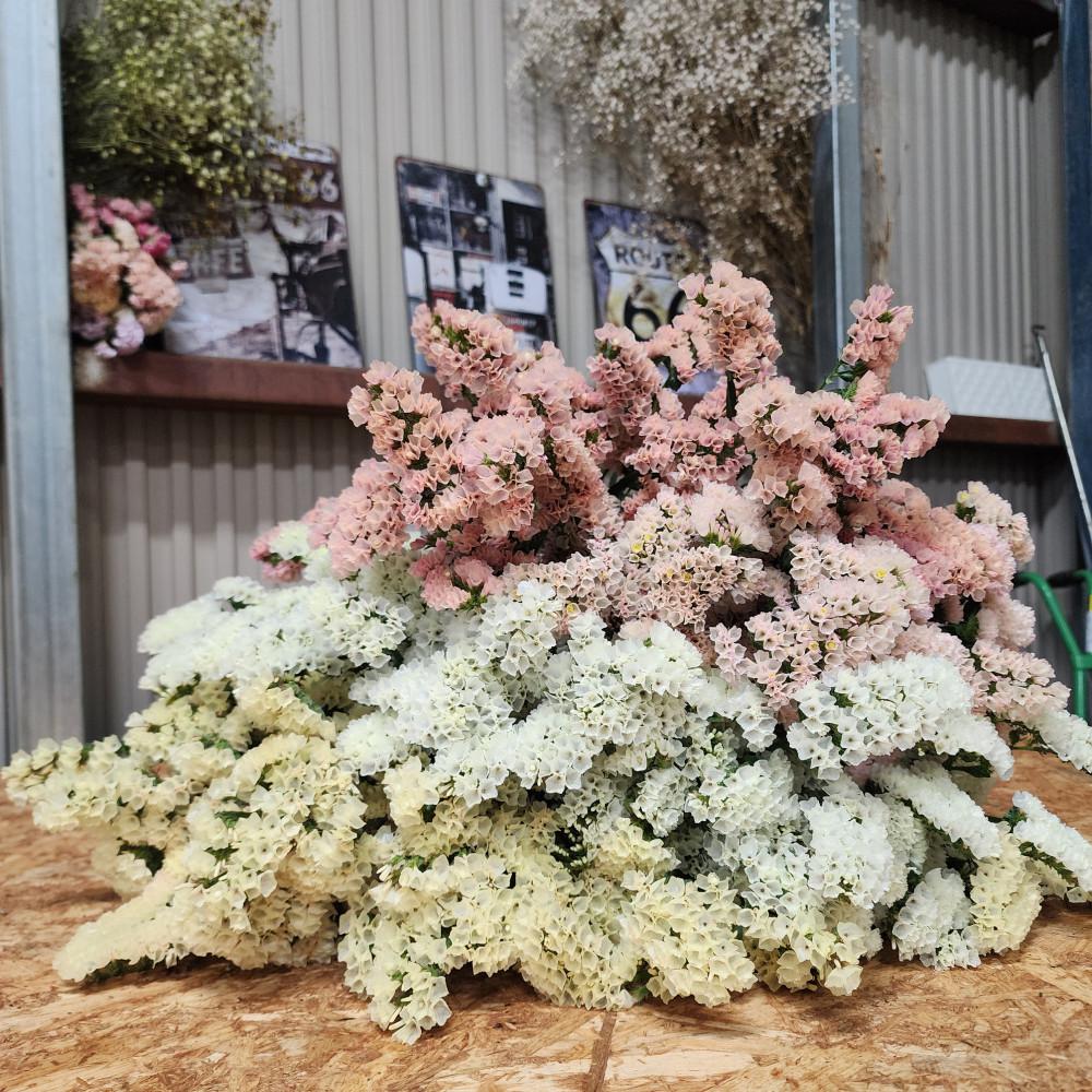 生花《スターチス》花職人Ikeda（ふるさと納税返礼品仕様 ニュアンスカラーmix）