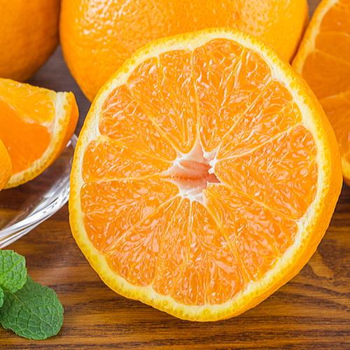 åæå±±æç°ã®æ¿åãã³ãã³ 15ïœ24ç çŽ5kgå
è¡äºçŽïŒœïŒ»MS78