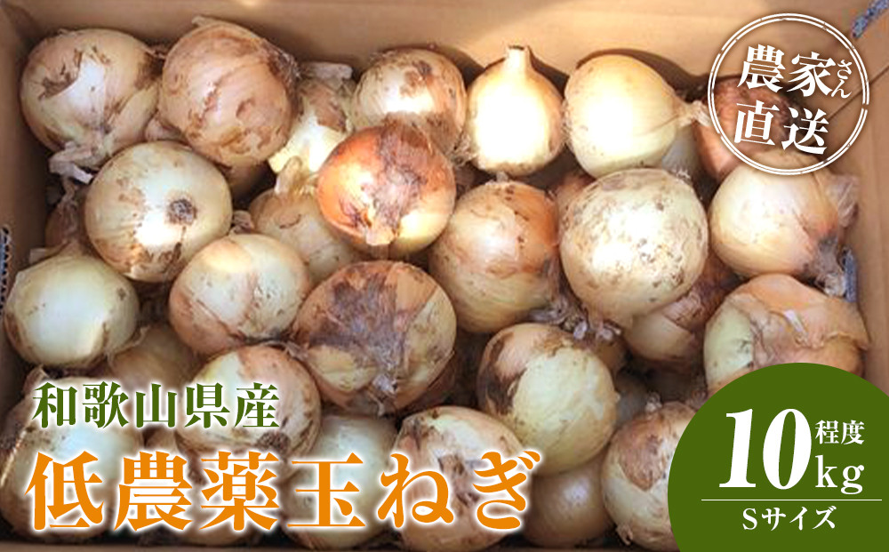 ［2026年発送分・先行予約］農家さん直送 低農薬玉ねぎ Sサイズ 10kg程度［4月中旬〜7月中旬頃発送予定］［KF18］