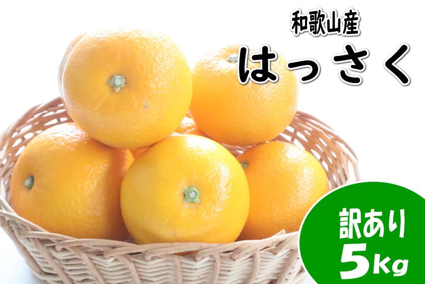 【訳あり・ご家庭用】はっさく（八朔）約5kg 和歌山産