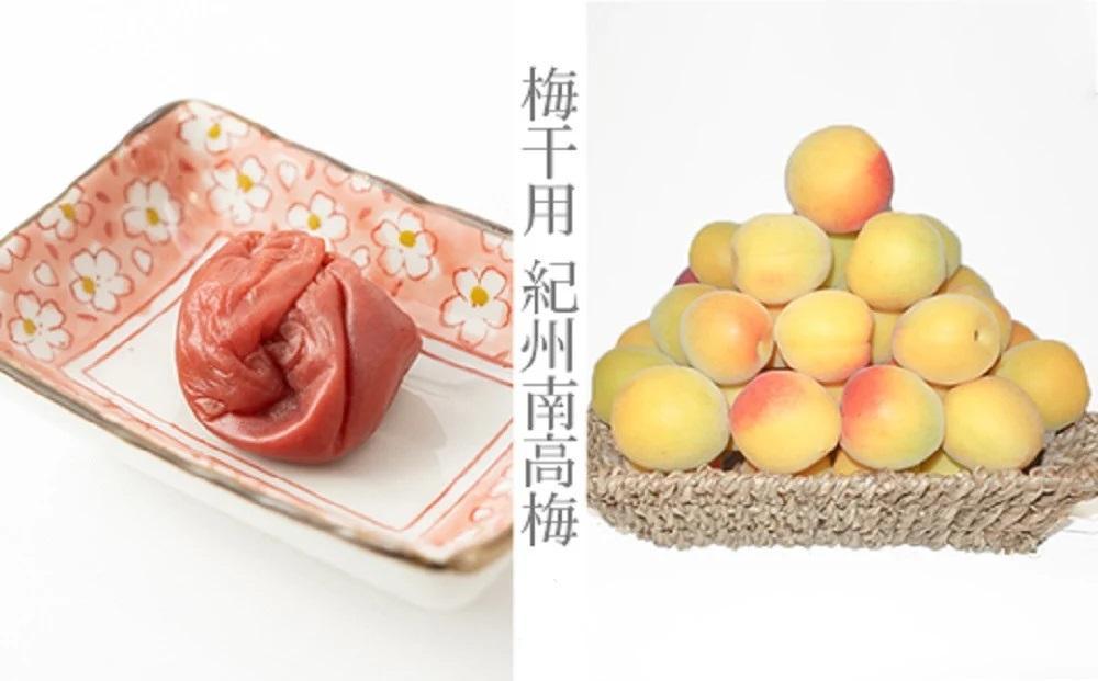 ［梅干・梅酒用］（2LまたはL−2Kg）熟南高梅＜2026年6月上旬〜7月7日発送予定＞フルーツ 果物 くだもの 食品 人気 おすすめ 送料無料［ART04］