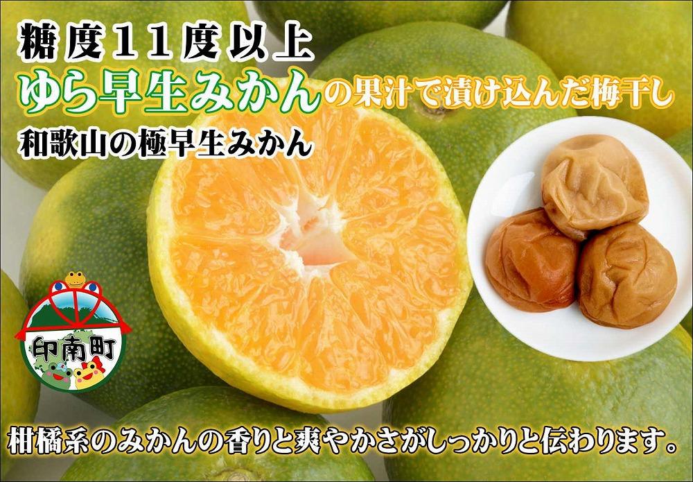 縺ソ縺九s縺薙>譴縲100gテ5蛟