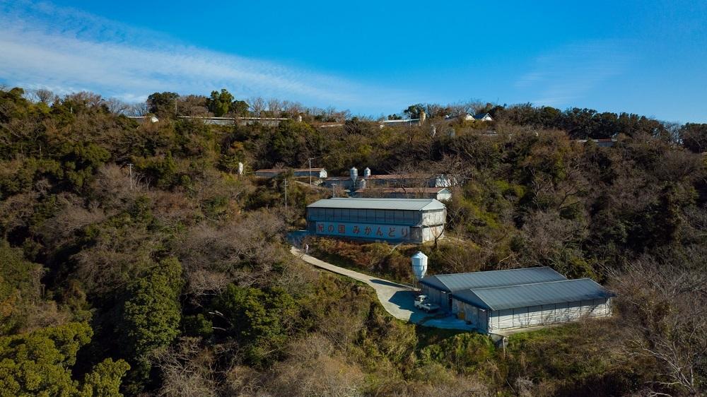 邏縺ョ蝗ス縺ソ縺九s縺ゥ繧翫繝ュ繝シ繧ケ繝医Ξ繝繧ー繧サ繝繝