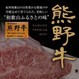 熊野牛 リブロース 焼肉用 500g【MT21】