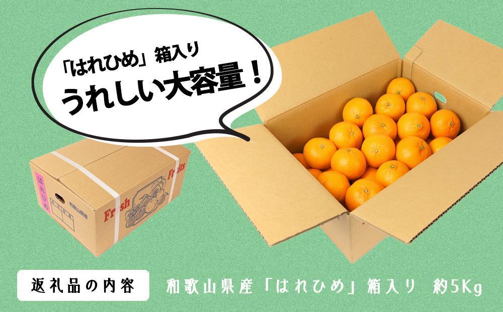 はれひめ（ミカンの希少種） 秀品  約5ｋｇ（25個～30個入）［先行予約］［2025年12月中旬頃から発送］［KG3］