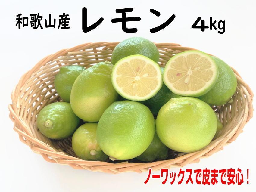 和歌山産レモン/グリーンレモン 4kg 【国産レモン】