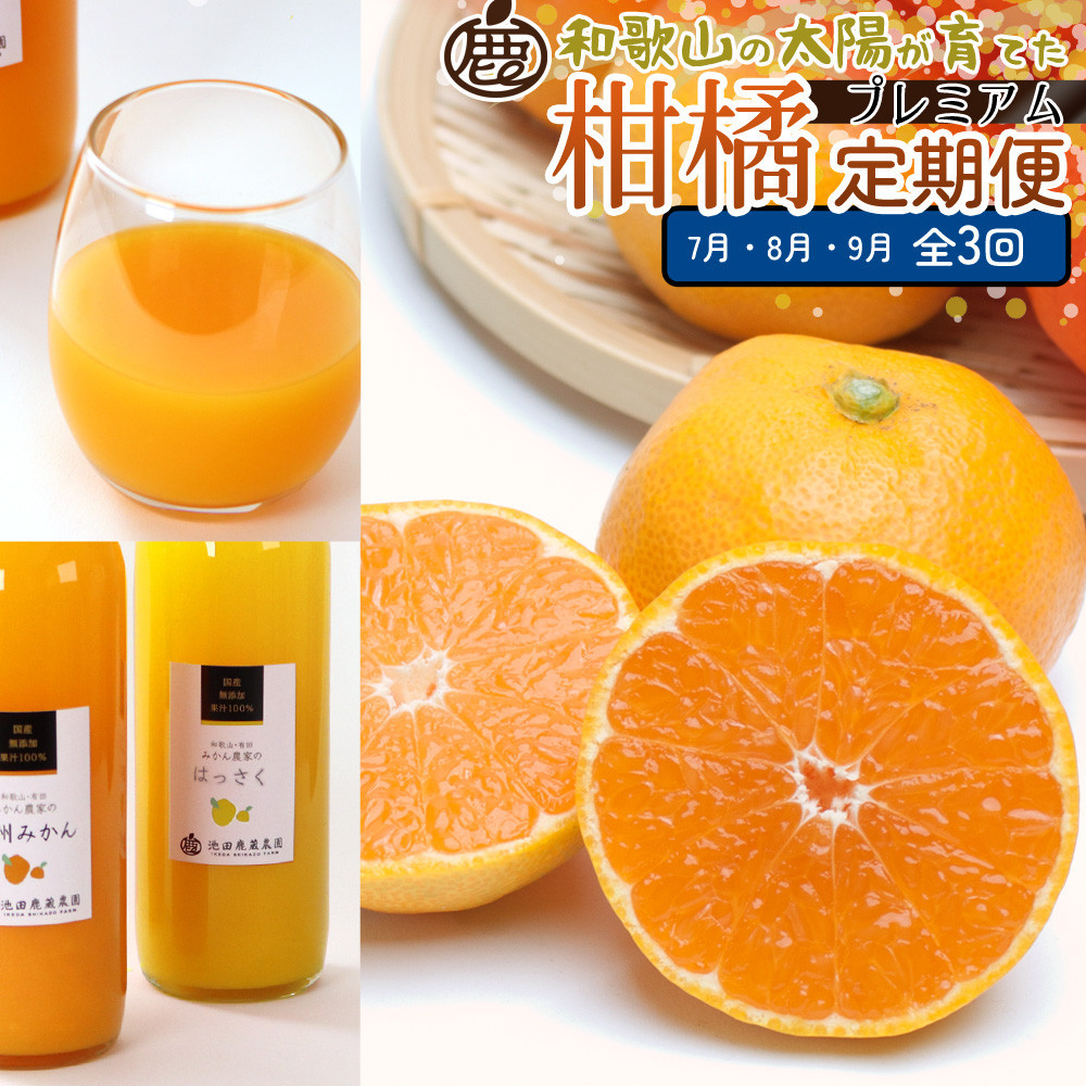 厳選 柑橘定期便M（7〜9月）全3回 ［IKE297］