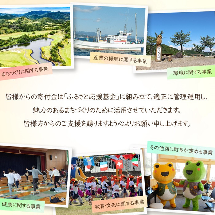 塩さばフィレ２４枚入(真空パック入)