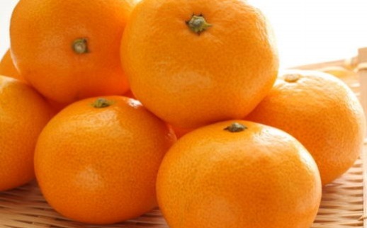 ［産直・秀品］和歌山下津みかん約5kg（S～Lサイズおまかせ）★2026年11月中旬頃より順次発送［TM133］