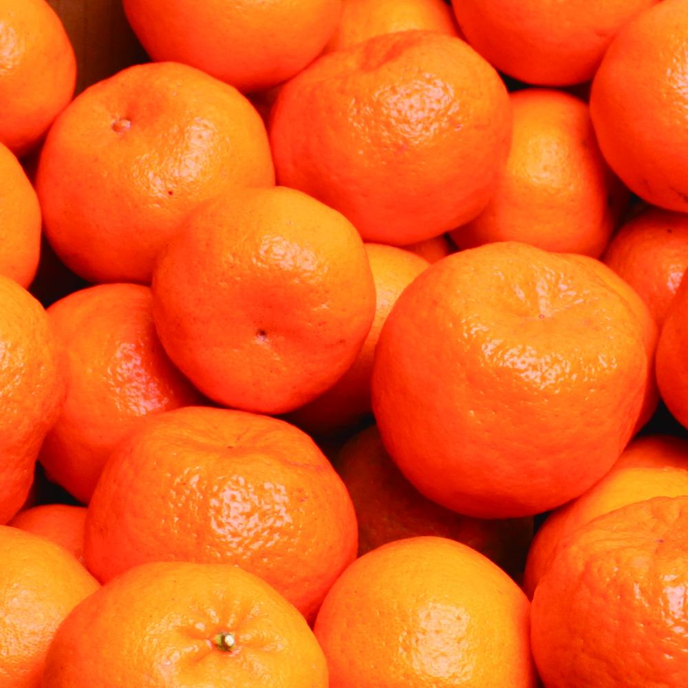 å
è¡äºçŽïŒœå³éž ãã³ã«ã³2.5kg+250gïŒå·ã¿è£ååïŒïŒ»IKE20