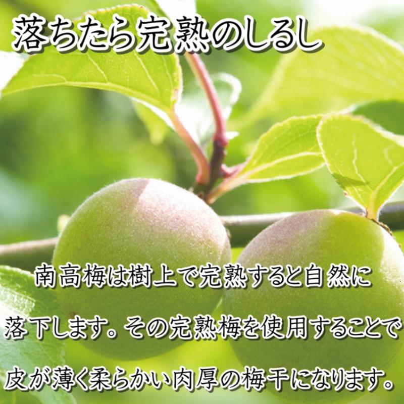 ããªã¿ã®éæ¢
åãæ¡é¢šå³æ¢
å¹²1kgãå¡©åçŽïŒïŒ
ãåæå±±ç£ãçŽå·å髿¢
ãå°åçº