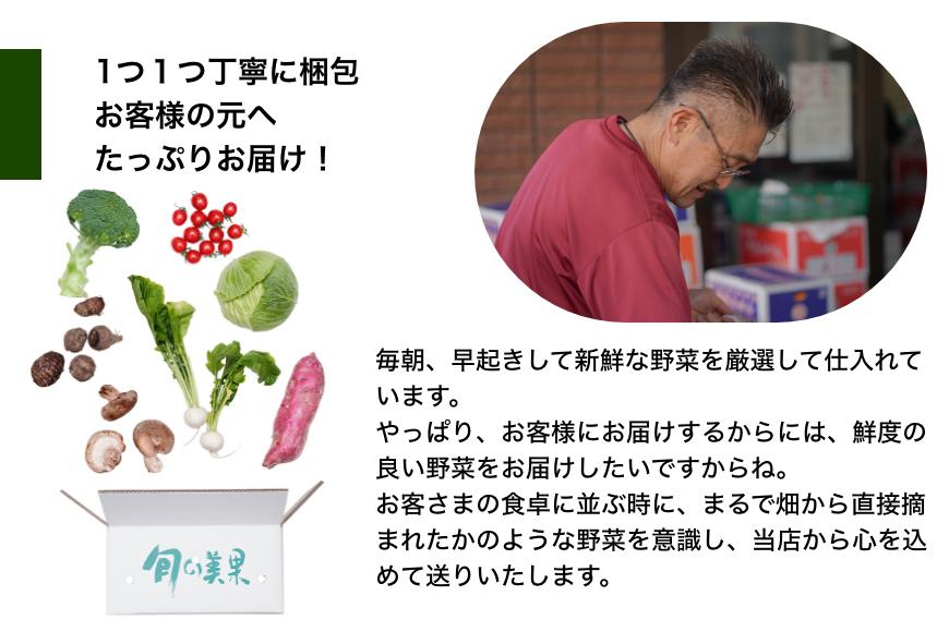 旬の新鮮野菜詰め合わせ 8種以上【野菜セット】