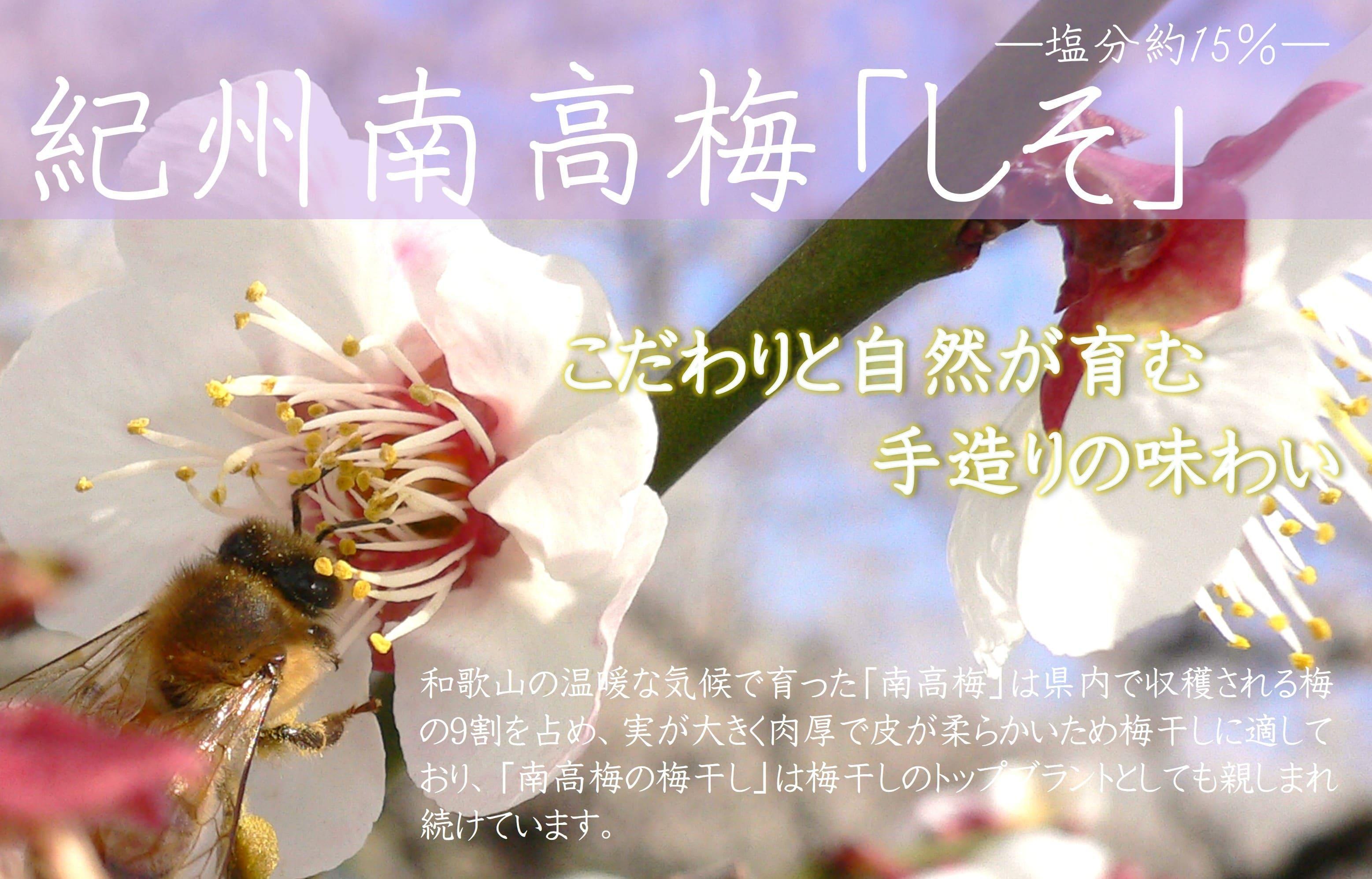 邏蟾槫漉鬮俶「 縺励◎ 蝪ゥ蛻邏15シ 850g シサYM6シス