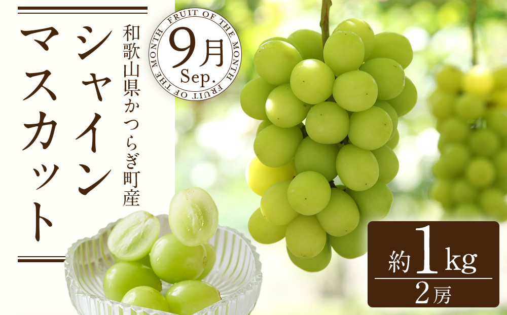 å®æäŸ¿å
š3å ã7æã»8æã»9æçºéã åæå±±ã®å€ã®ãã«ãŒãããå±ãïŒæ¡ã»æ¢šã»ã·ã£ã€ã³ãã¹ã«ããïŒ ïŒ»TM224