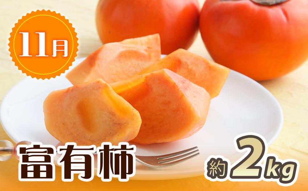 邏蟾槫柱豁悟アア逕」 譌ャ縺ォ縺雁ア翫¢シ√ヵ繝ォ繝シ繝繧サ繝繝茨シ井ク咲衍轣ォ繝サ譯繝サ蟇梧怏譟ソシ峨振T59縲