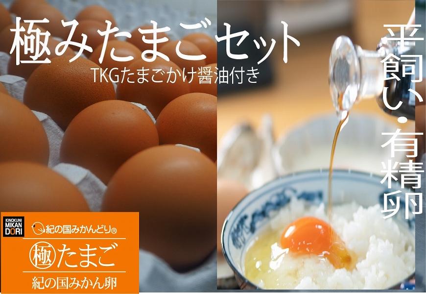 紀の国みかん極みたまごTKGセット