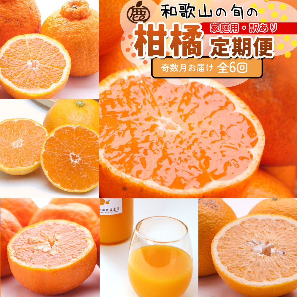 家庭用 柑橘定期便S（奇数月）全6回 ［IKE301］
