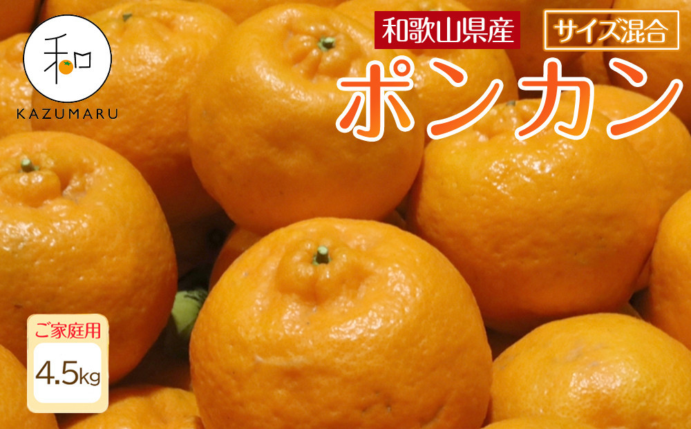 家庭用 森本農園の手選別 ポンカン 4.5kg 和歌山県産 サイズ混合 ［北海道・沖縄・離島配送不可］［RN12］［2027年1月中旬から順次発送］