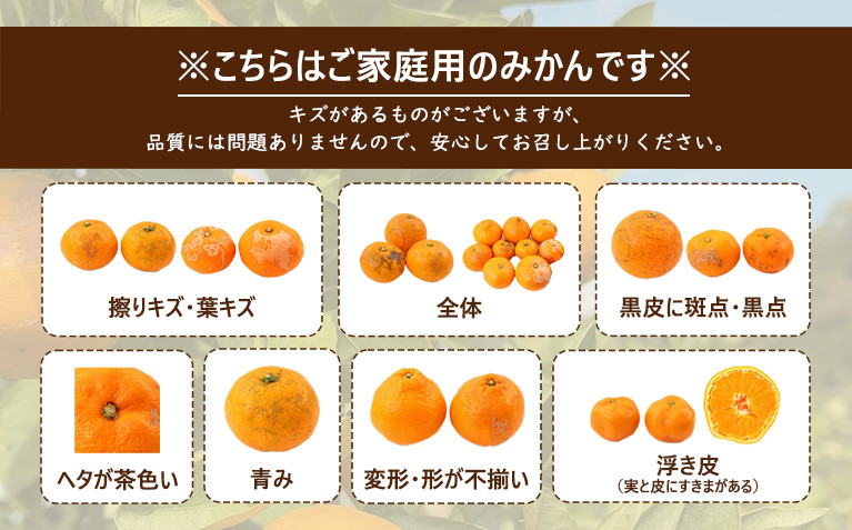 ［先行予約］家庭用 小さな有田みかん2.5kg+250g（傷み補償分）［2026年10月初旬から2027年1月末日頃順次発送予定］［IKE246］