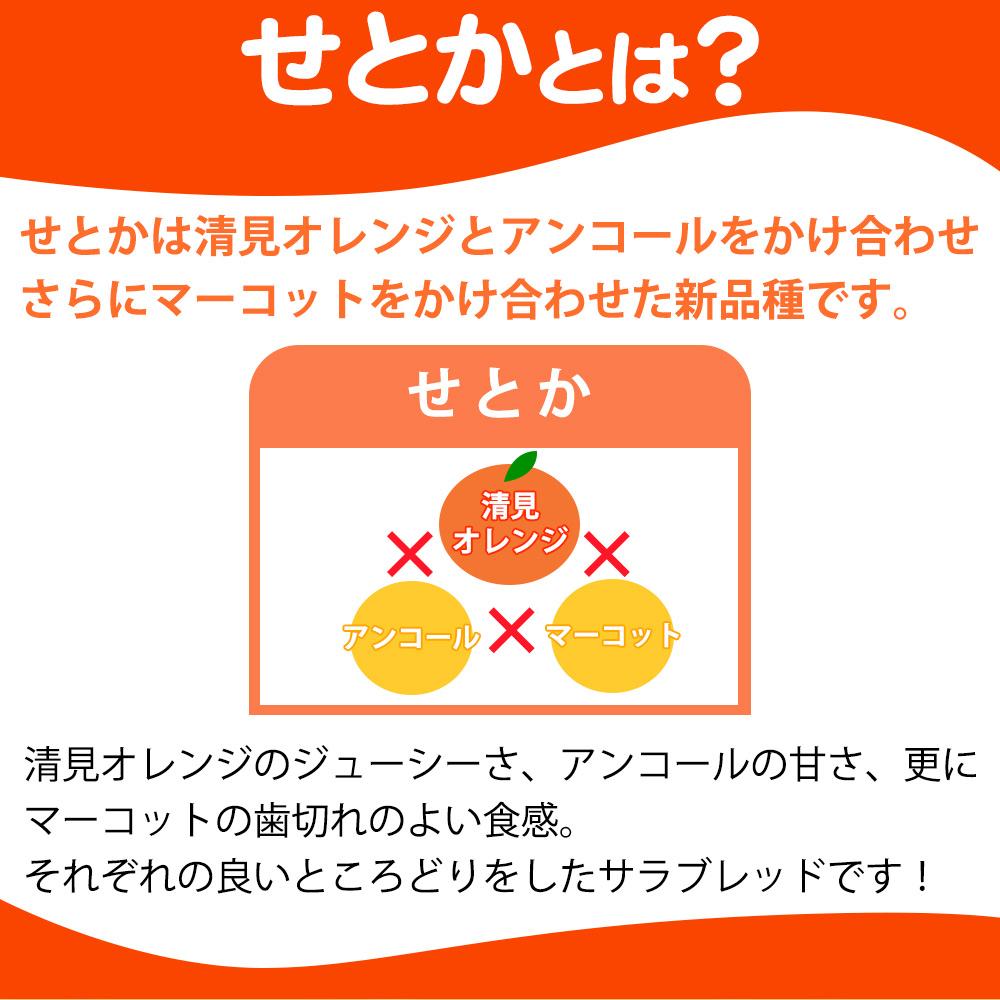 紀州有田産せとか約5kg ［ご家庭用］とろける食感！ジューシー柑橘［2027年2月中旬以降発送］［先行予約］［UT90］