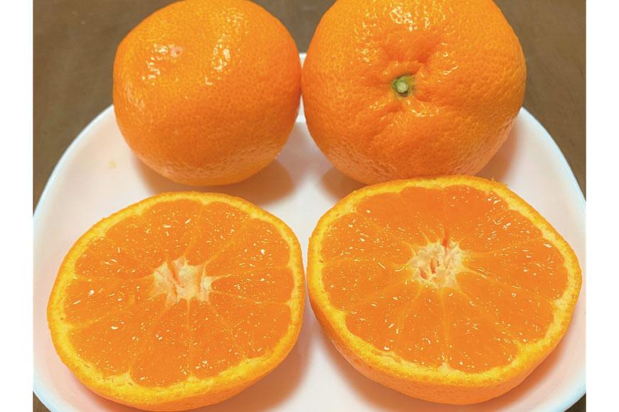 地元印南町産『完熟温州みかん』約5kg（S〜Lサイズ）