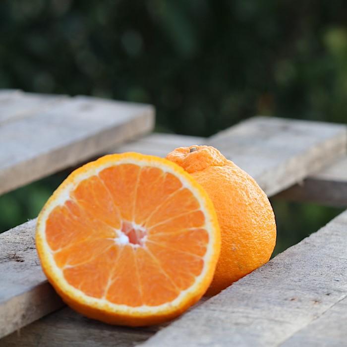 åæå±±ç£ äžç¥ç«ïŒ»12çïœ24çç§åUS63