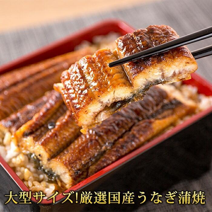 お魚のバラエティ定期便（塩サバ 甘口塩銀鮭切身 うなぎ蒲焼 サーモン）【定期便・全4回】【魚鶴商店】