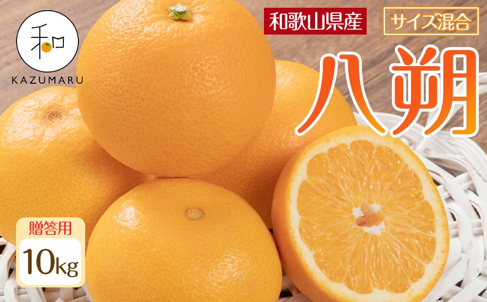 雍育ュ皮畑 譽ョ譛ャ霎イ蝨偵ョ謇矩∈蛻・ 蜈ォ譛 邏10kg 蜥梧ュ悟アア逵檎肇 繧オ繧、繧コ豺キ蜷 シサ蛹玲オキ驕薙サ豐也ク繝サ髮「蟲カ驟埼∽ク榊庄シスシサ2026蟷エ1譛井クュ譌ャ縺九i2譛井クュ譌ャ鬆鬆谺。逋コ騾∽コ亥ョ夲シスシサRN124シス