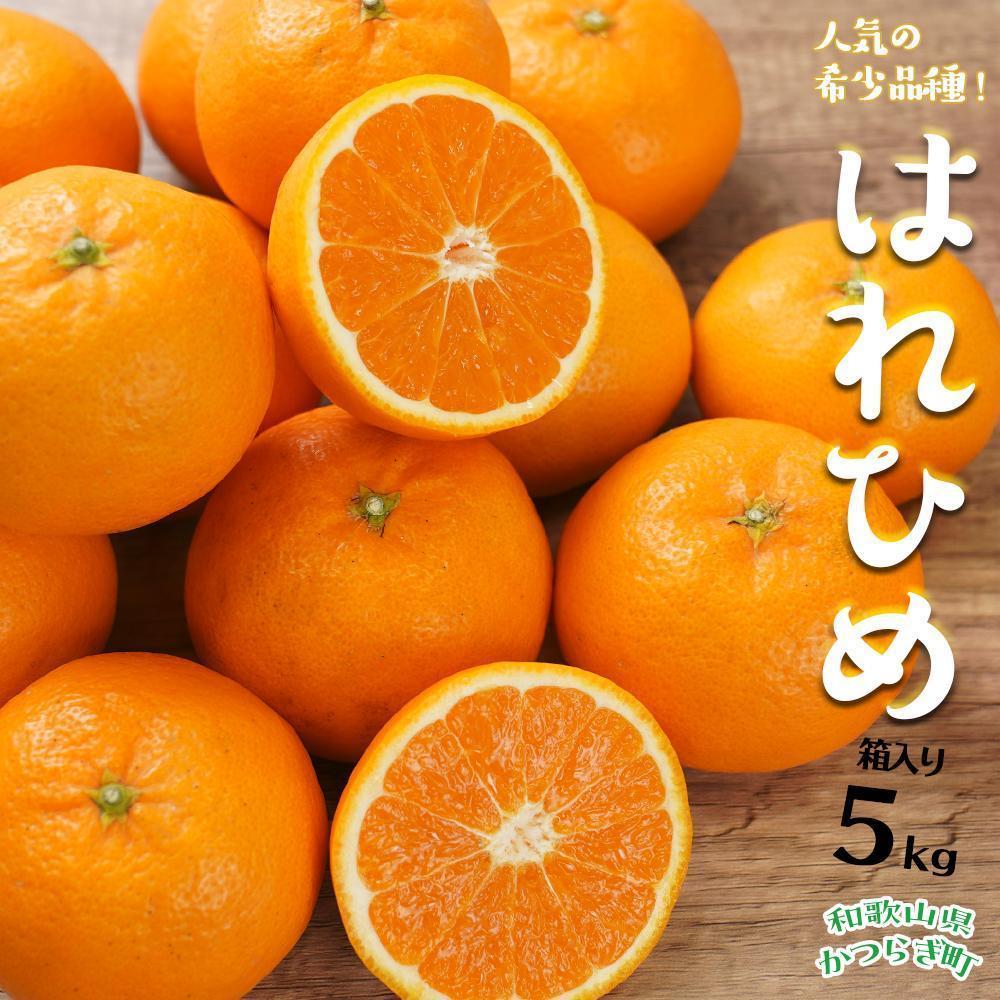 縲仙ョ壽悄萓ソ4蝗槭代ヵ繝ォ繝シ繝邇句嵜縺九▽繧峨℃逕コ繧医j縺雁ア翫¢シ∵流縺ョ繝輔Ν繝シ繝螳壽悄萓ソ縲尻G11縲