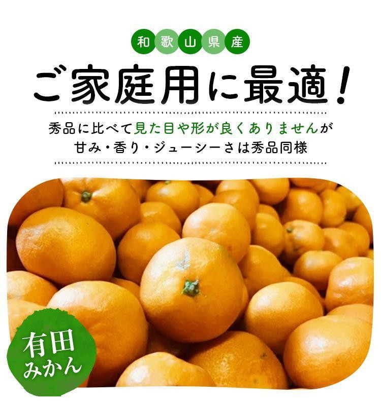 ［先行予約］ご家庭用 完熟 有田みかん 5kg［2026年12月発送予定］訳あり 農家直送［MS31-2］