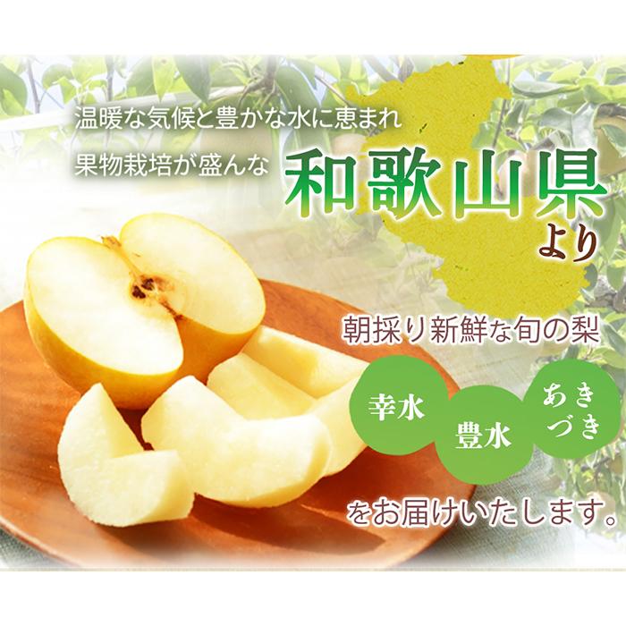 梚 3ç åç²§ç®±å
¥ çŽå·åæå±± ãã€ããç£ïŒ»2026幎8æäžæ¬ä»¥éçºéäºå®ïŒœïŒ»UT98