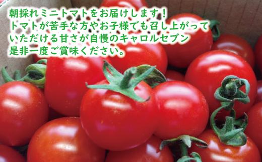 高糖度完熟ミニトマト 約2kg 【キャロルセブン】